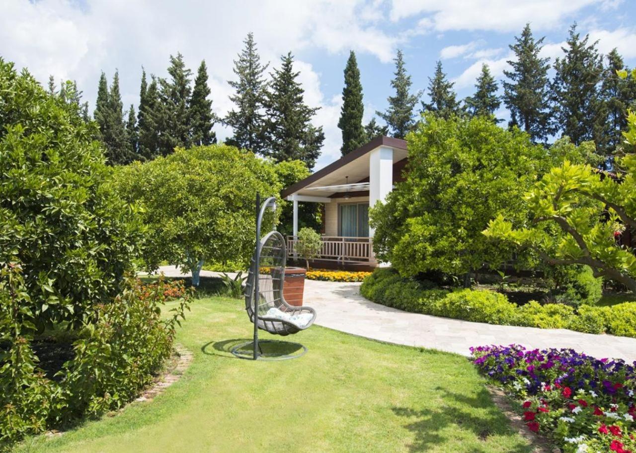 Kimera Lounge Boutique Hotel & Spa Çıralı Exterior foto
