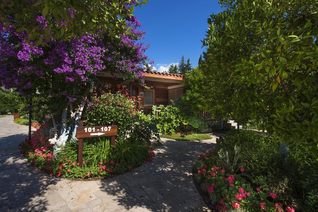 Kimera Lounge Boutique Hotel & Spa Çıralı Exterior foto